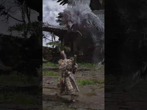 #eldenring #gaming #wukonggameplay #fromsoftware #wukongfunny #sekiro #wukongability #darksouls