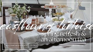 Spring Vlog 🌸 Spring Refresh and a Bridgerton Afternoon Tea