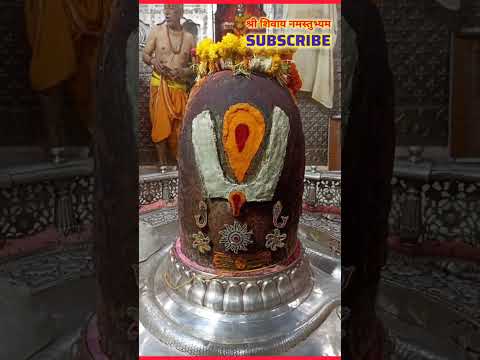 Shiv Tandav Stotram #shorts #shortvideo #trending #viral #viralvideo #youtubeshorts #reels #ytshorts