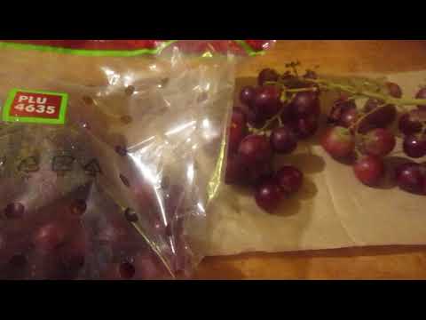 Red Table Grapes #red #table #grapes #redgrapes