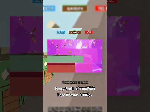 Honey Suckle เสียแชมป์ให้ต้น Bone Blossom 1000kg+ #godnkshop #growagarden #roblox #games