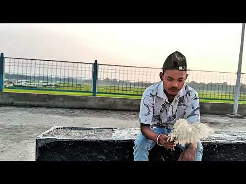#trending #editing #hindi Song 