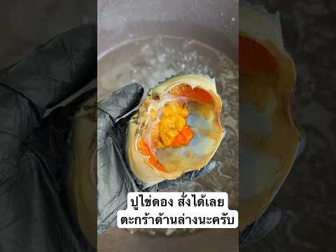 ปูไข่ #ปูไข่แน่นๆ #shopeevideo #video