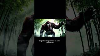 3 Metrelik Dev Maymun | Gigantopithecus