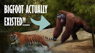 Gigantopithecus | The biggest ape to have ever lived...