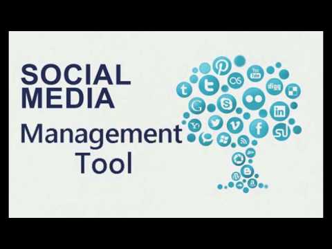 Perfect Social Monitoring Tool For Your Brand