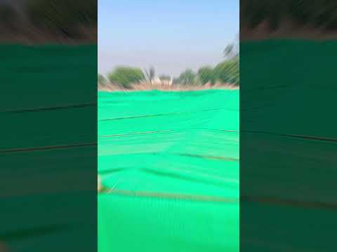 #agriculturetechnology #agriculture #agriculturelife #youtubeshorts #kisan #youtube #shortvideos #