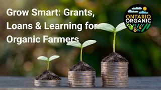 The Market Garden Diaries: Managing the Workload
