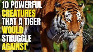 10 Powerful Creatures That a Tiger Would Struggle Against.