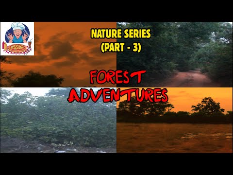 Forest Adventures | Nature Series ( Part - 3 ) | VMG'S  Kitchen & Vlogs