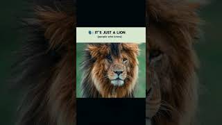 Live like a king and dies like a king #lion #scarface #jungle #rule