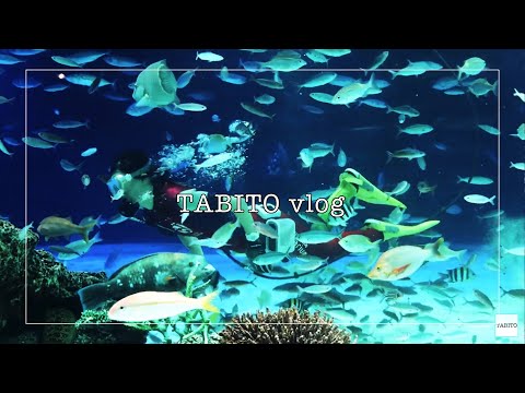 【池袋】サンシャイン水族館でまったりした午後【旅散歩】