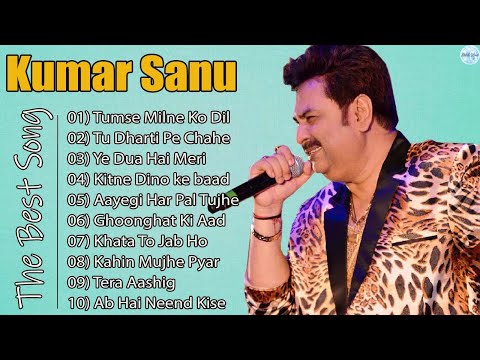 Kumar Sanu Romantic Song Hindi || Best of Kumar Sanu Duet Super Hit 90's Songs Old Is Gold Song 2024