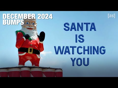 December 2024 Bumps | adult swim