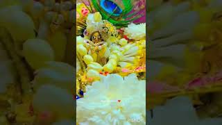 #kartikpurnima #kartikmass #mereladdugopal #vrindavan #meregopal