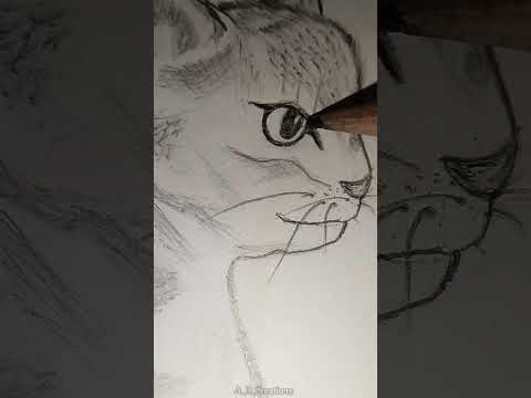 Cat & butterfly drawing | easy drawings | #drawing #cat #easydrawing