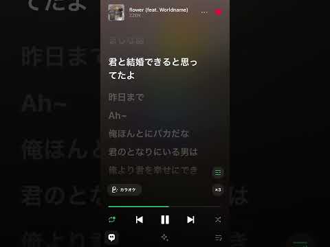 Flower 「zzen」歌詞付き