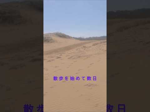 砂漠でぼっちになる #shorts #aloneness #散歩