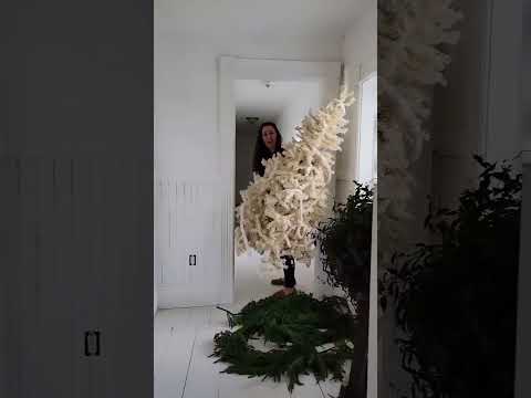 Do you decorate before or afterThanksgiving? #christmas #christmastree #homedecor #funny #theoffice