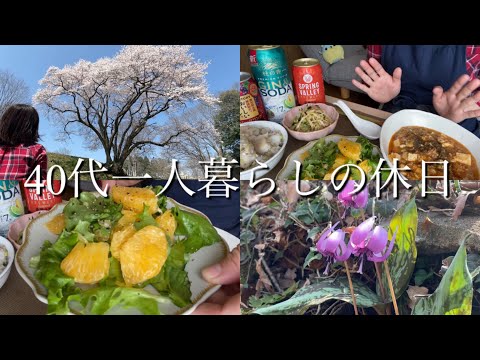 【40代一人暮らしの休日】エドヒガンザクラ/麻婆豆腐/ジンソーダ