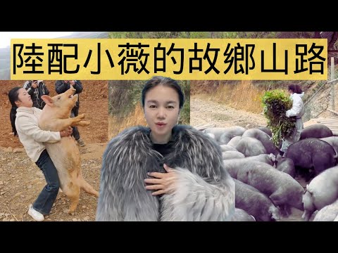 陸配小薇逃離的故鄉｜貴州山區，讓台灣男人也難以離開的地方
