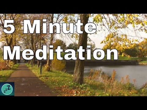 REDUCE ANXIETY 5 MINUTE MEDITATION - Relax Under the Autumn Trees Listening to the Rustling Leaves