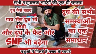 गाय भैंस का दूध कैसे बढ़ाएं ( दूध की फैट और SNF कैसे बढ़ाएं ) increase the milk for cow buffalo