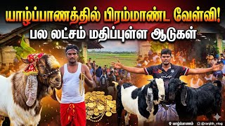 🛑யாழ்ப்பாணத்தை உளுக்கிய வேழ்வி திருவிழா பல லட்சம் மதிப்புள்ள ஆடுகள் 