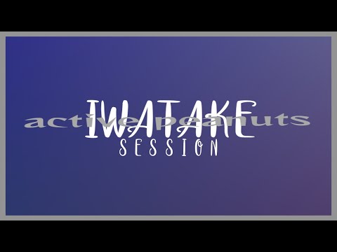 iwatake session