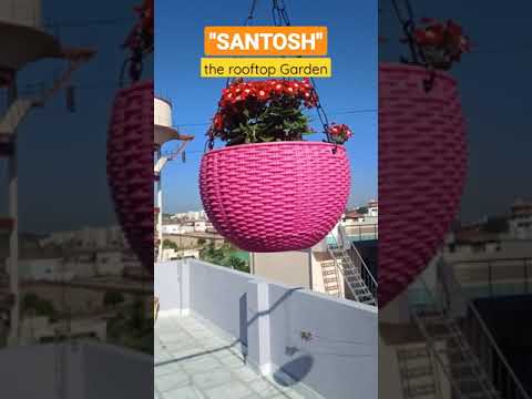 rooftop garden @ hari ashray nagar