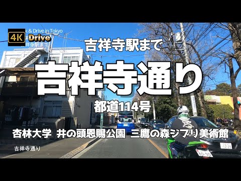 【ドライブ4K】【吉祥寺通り】【吉祥寺駅まで 駅周辺ぐるっと】【杏林大学 井の頭恩賜公園 三鷹の森ジブリ美術館】【都道114号】【東八道路 都道14号】【井の頭通り 水門通り 五日市街道】