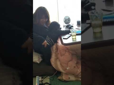 Nagpamasahe pa talaga😀🐶❤️feel na feel ni Bubu🐶😀