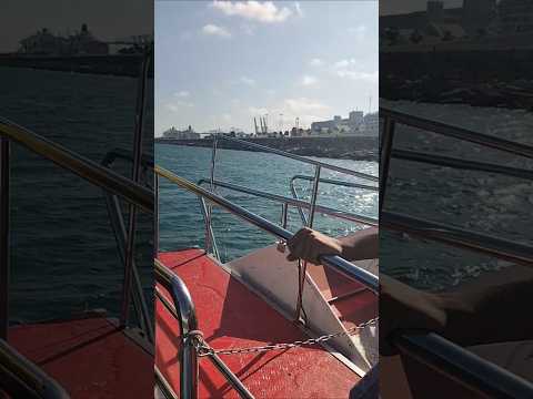 Spanish Cruise Ride ln Barcelona/Mediterranean sea, Barcelona, Spain #ytshorts #travel#spain #europe