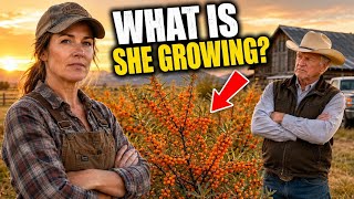 She Planted Thorny Bushes on Dying Soil—3 Years Later, Health Brands Were Lining Up