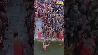 Mauni Amavasya: The Most Important Shahi Snan of Kumbh Mela 2025