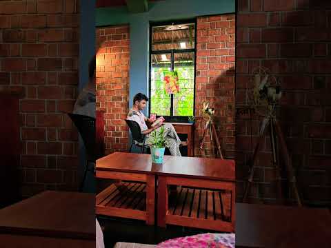 Sukoon #sukoon #saiyaara #selfimprovement #selfcare #selflove #happiness #kozhikode #calicut