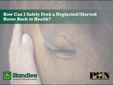 How Can I Safely Feed a Neglected/Starved Horse Back to Health?