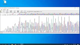 Sequence Analysis Protocol - Assess Sequence Quality - Chromas PC