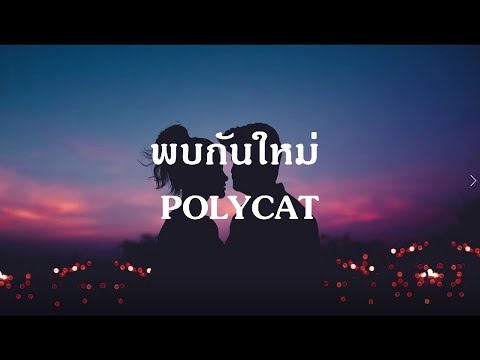 POLYCAT - พบกันใหม่ ?