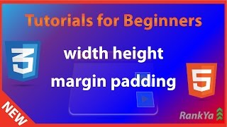 CSS Width Height Margin Padding - html5 & CSS Course - Full html5 Course for FREE