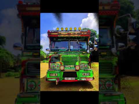 එක වගේ නම් තියෙන බස්❤💖  #automobile #srilanka #love #bus #dj #buses #dhamrajini #koombiyo #viral#vip
