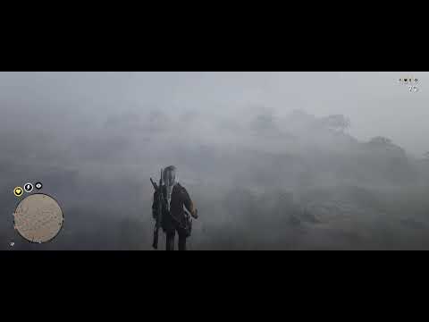 exploration