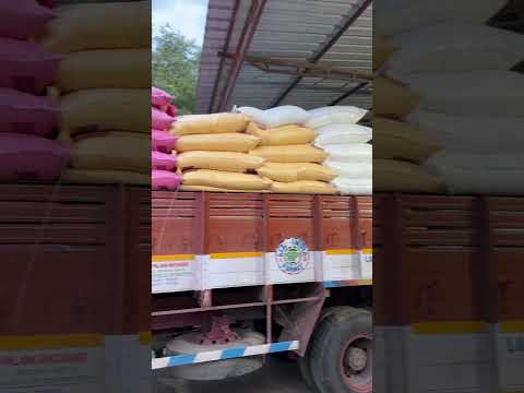 RP Annapoorna 26% Protein Cattle Feed 9655735370 #cowfeed #cattlefeed #cattlefeeds #goatfeed #cow
