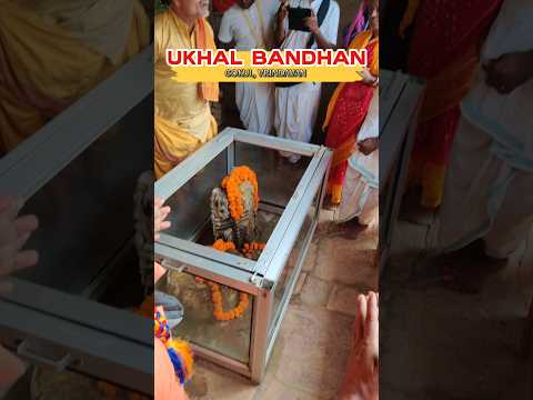गोकुल, वृंदावन का उखल बंधन लीलास्थली दर्शन कीजिए,दुर्लभ दर्शन🙏🙏 #gokul #vrindavan #damodarmass
