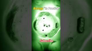BSC NURSING MOTIVATIONAL VIDEO/NEET MOTIVATION/BIOLOGY IN LIFE/IMPORTANCE OF BIOLOGY/BIOLOGY IN LIFE