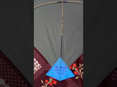 Fighter kites #kiteflying #makarsankranti #shorts