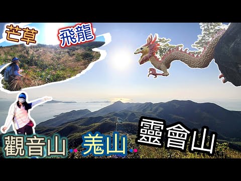 【尋找飛龍🐲，芒草!🌾!】觀音山，羗山，靈會山，360度美景! 尋找隱藏山林中的龍仔悟園🛖!