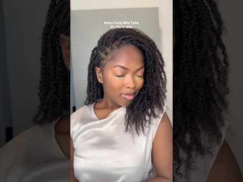 DIY Mini Twist | ft. Hot Braids 🔥 #hairextensions #naturalhairtutorial #naturalhair #minitwists
