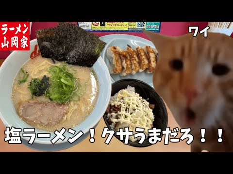 【山岡家】塩ラーメンを食ってみろ！！？？餃子とチャーマヨ丼も頼んで腹パンになってやるよ！！という話【クセになる味】#猫ミーム  #猫マニ