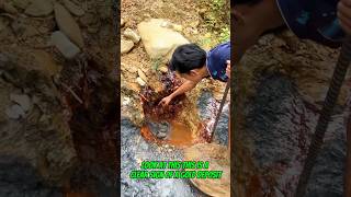 #goldrush 2025 How gold mines were found #goldmining #goldpanning